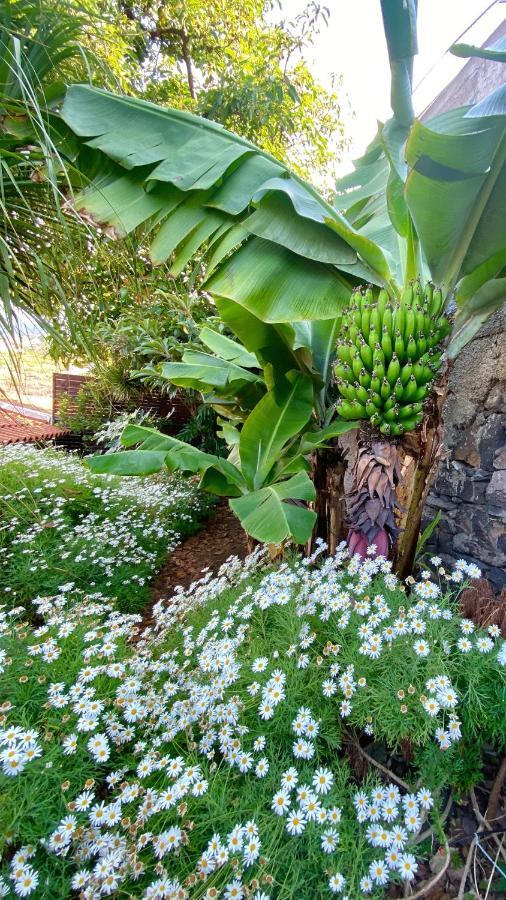 Casa Ideal Para Familias Com Vista Mar Desafogada Funchal  Eksteriør bilde