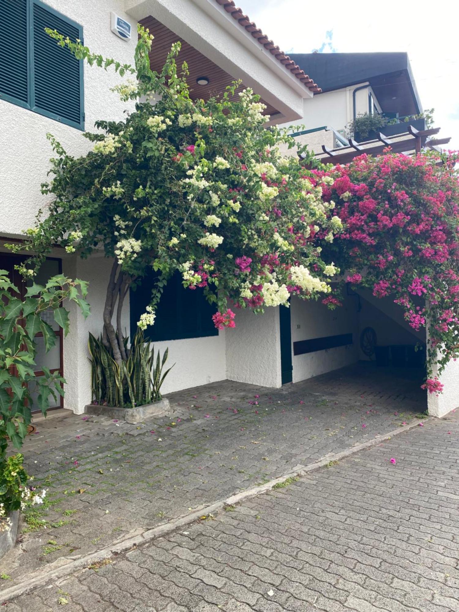 Casa Ideal Para Familias Com Vista Mar Desafogada Funchal  Eksteriør bilde